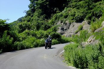池ノ尾林道 池ノ尾林道