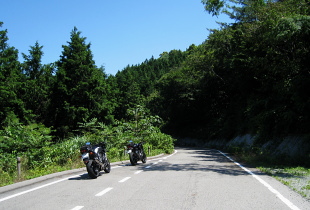 池ノ尾林道 池ノ尾林道