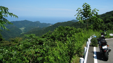 池ノ尾林道 池ノ尾林道