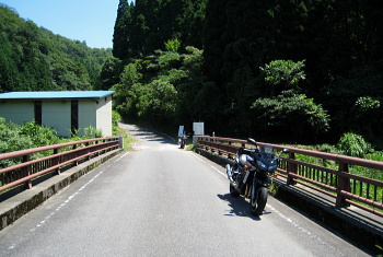 池ノ尾林道 池ノ尾林道