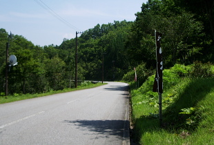 高山大山林道 高山大山林道