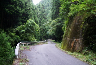 武木小川林道 武木小川林道