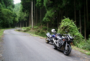 武木小川林道 武木小川林道