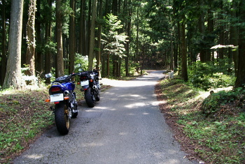 洞川下市線 - r48 - 洞川下市線 - r48 -