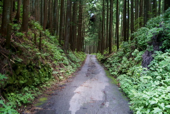 洞川下市線 - r48 - 洞川下市線 - r48 -