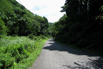 敦賀市 市道 池河内樫曲線 池河内湿原・笙の川 沿いの道