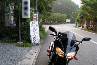 恐竜うどん 恐竜うどん