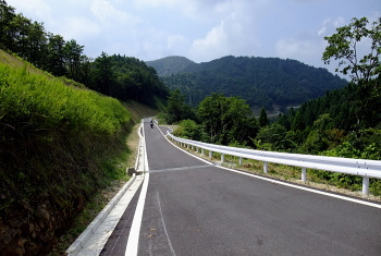 三川林道 三川林道