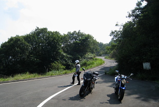 郷路林道 郷路林道