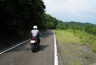 相地轟林道 相地轟林道
