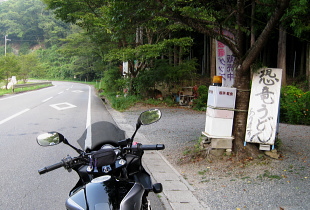恐竜うどん 恐竜うどん