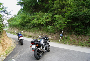 妙見蘇武林道 妙見蘇武林道