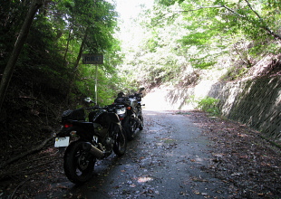 奥山厚波林道 奥山厚波林道