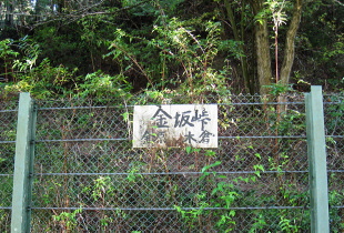 関本巣線 金坂峠 関本巣線 金坂峠