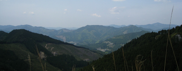 小広和田川林道 - 眺望 小広和田川林道 - 眺望