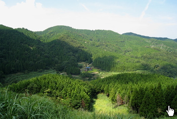 三川林道 三川林道
