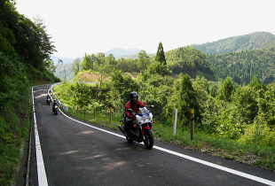 三川林道 三川林道