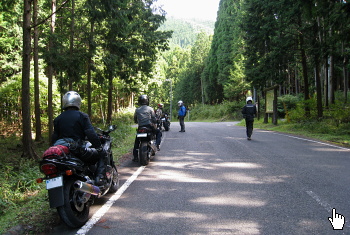 ダルガ峰林道 ダルガ峰林道
