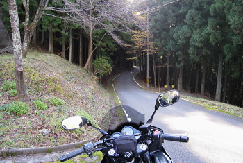栃谷加杖坂林道 栃谷加杖坂林道