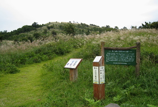 海上林道 上山高原 海上林道 上山高原