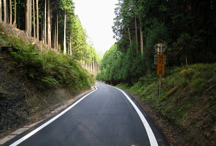R429 青垣峠 R429 青垣峠