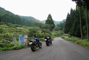 河合谷林道 河合谷林道