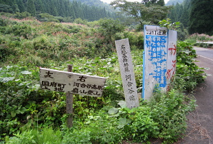 河合谷林道 河合谷林道