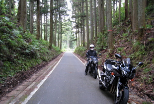 大河内口八田線 - r453 - 中山峠 大河内口八田線 - r453 - 中山峠
