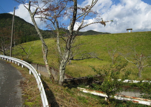 牧野大池 牧野大池