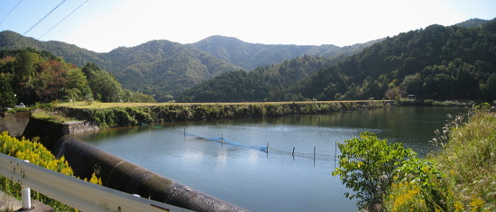 長谷大池 長谷大池