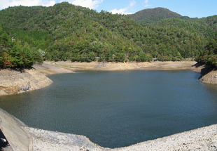 藤岡ダム 藤岡ダム