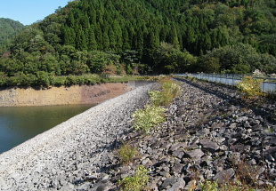 藤岡ダム 藤岡ダム