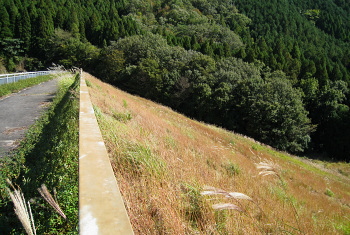 藤岡ダム 藤岡ダム