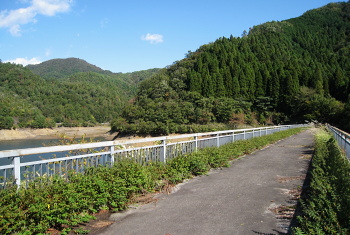 藤岡ダム 藤岡ダム