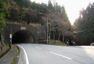 栃谷加杖坂林道 栃谷加杖坂林道