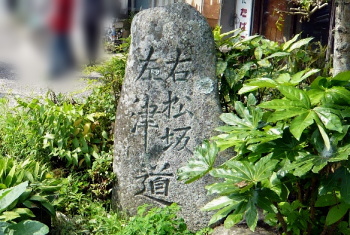 松坂青山線 - r29 - 松坂青山線 - r29 -