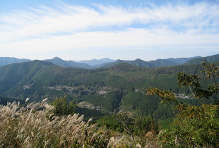 小広和田川林道 小広和田川林道