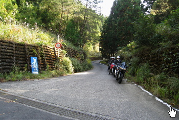 小広和田川林道 小広和田川林道