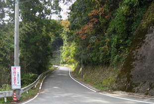 町道 藤野川大又線 町道 藤野川大又線