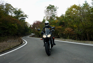 相地轟林道 相地轟林道