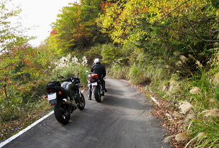 三室高原〜大通峠 三室高原〜大通峠
