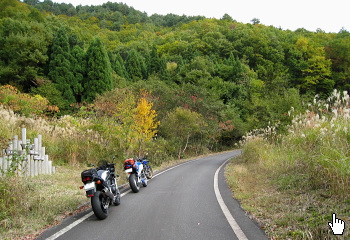 沖ノ山林道 沖ノ山林道