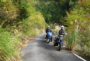 三室高原〜大通峠 三室高原〜大通峠