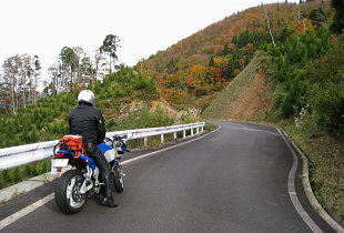 沖ノ山林道 沖ノ山林道