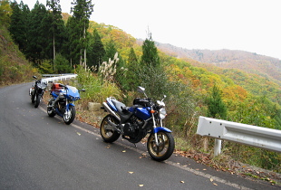 沖ノ山林道 沖ノ山林道