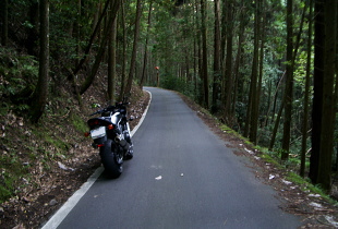大河内口八田線 - r453 - 大河内口八田線 - r453 -