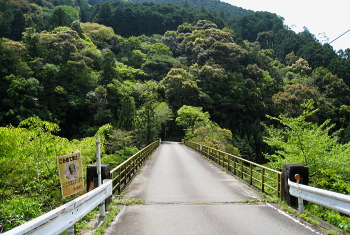 R371 F싴