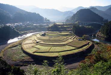炬