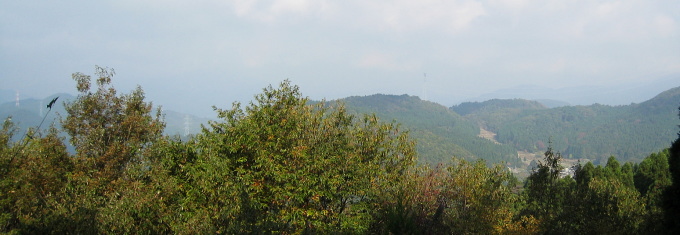細野白口林道 白口峠 細野白口林道 白口峠