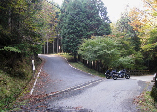 細野白口林道 細野白口林道